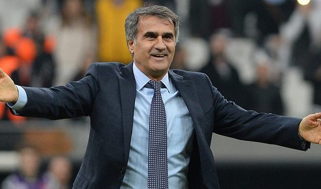 Şenol Güneş'ten Milli Takım açıklaması