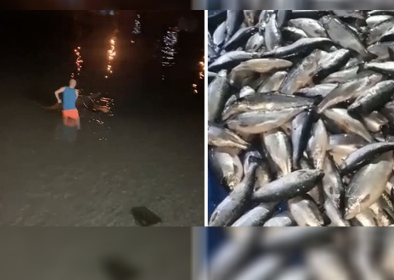Trabzon'da balık yetiştirilen kafes yırtıldı! Sahil somonla doldu