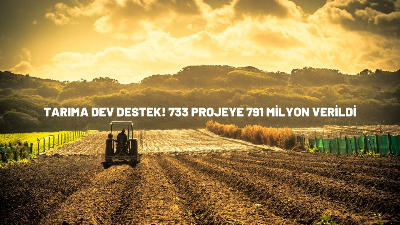Tarıma dev destek! 733 projeye 791 milyon verildi
