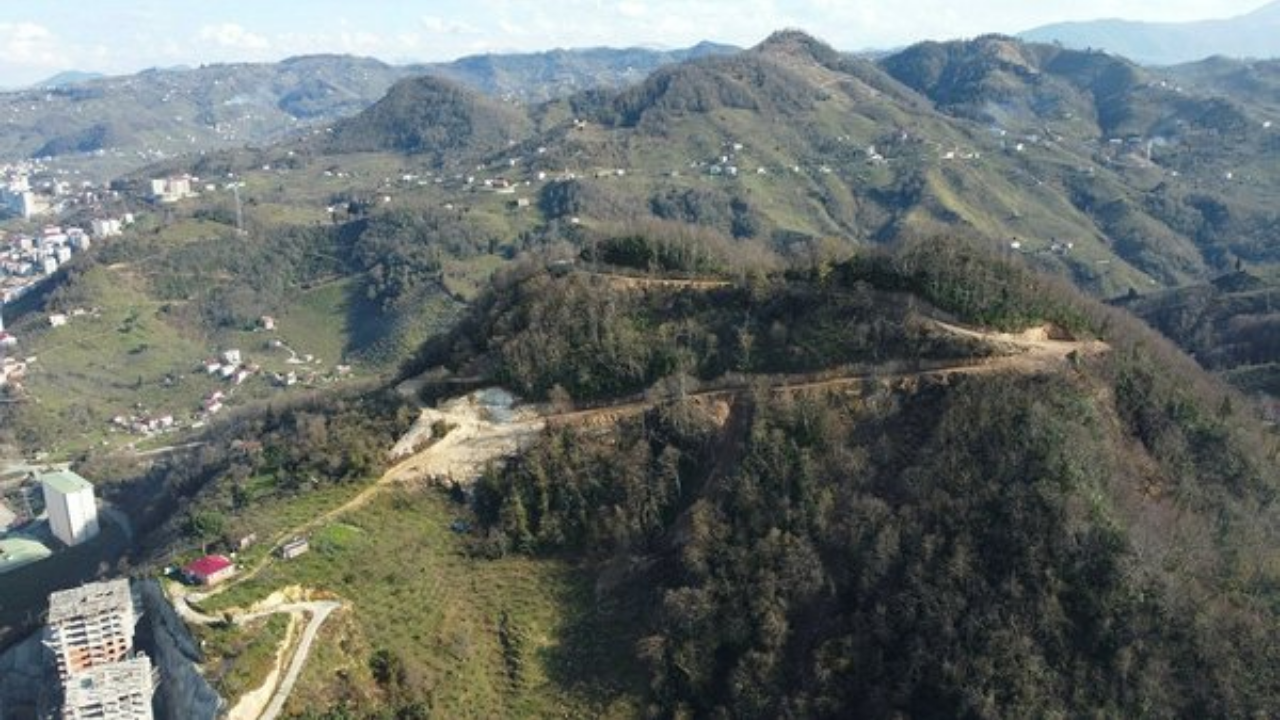 Giresun'da 50 bin metrekarelik "Millet Ormanı" kurulacak!