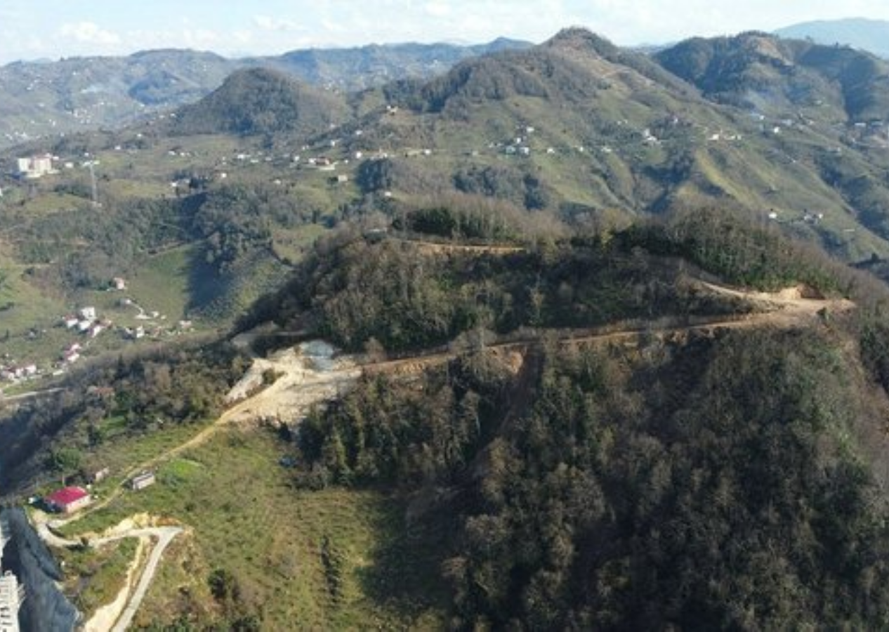 Giresun'da 50 bin metrekarelik "Millet Ormanı" kurulacak!