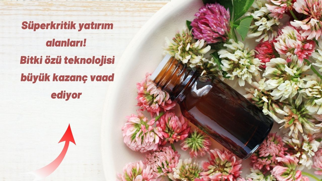 Süperkritik yatırım alanları! Bitki özü teknolojisi büyük kazanç vaad ediyor