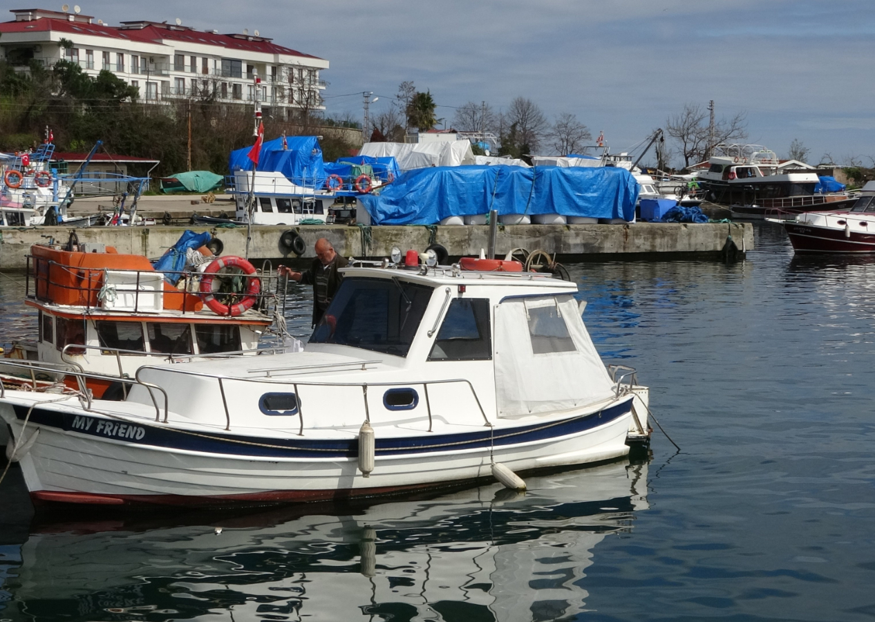 Sezon erken kapandı: 41 yılın en verimsiz hamsi ve istavrit sezonu