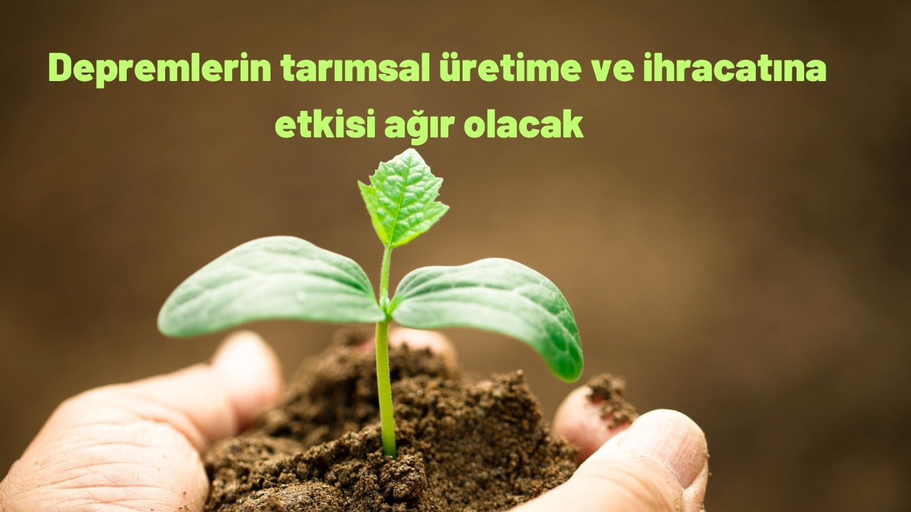 Depremlerin tarımsal üretime ve ihracatına etkisi ağır olacak