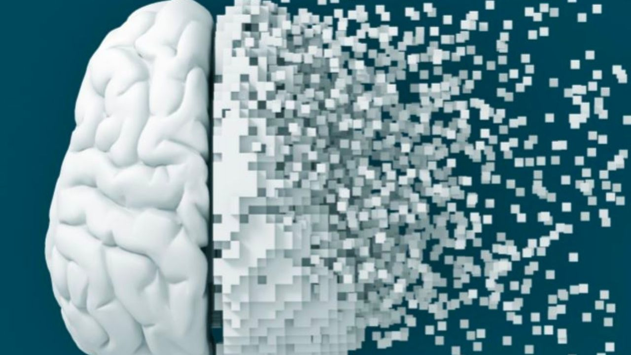 Alzheimere karşı besinler! Bu besinler beynimizi koruyor...
