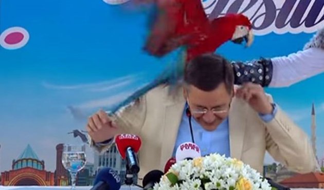 Melih Gökçek papağan ile basın toplantısı yapınca gagalandı / VİDEO