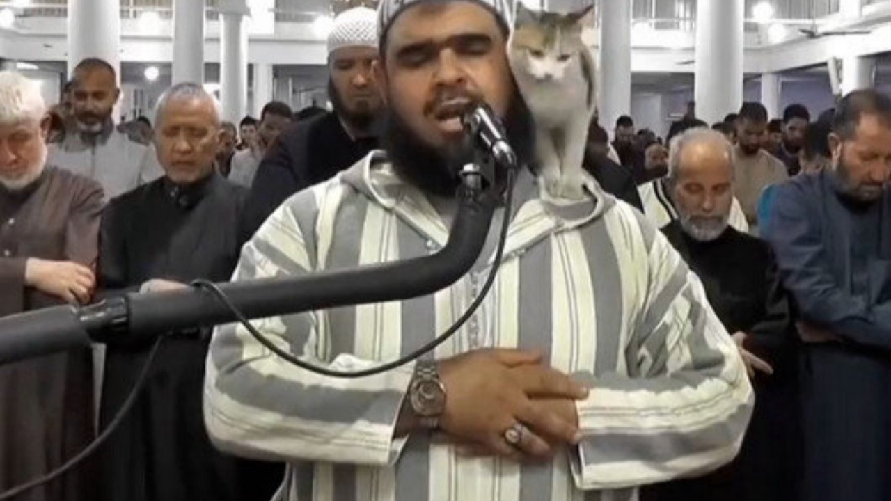 Cezayir'de teravih namazında 'davetsiz misafir': Minik kedi imamın omzuna tırmandı...