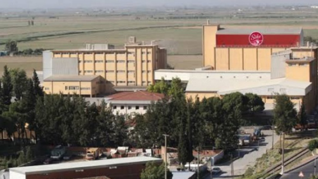 Deprem bölgesine ilk yatırım geldi! Ulusoy Un yeni fabrika inşa ediyor