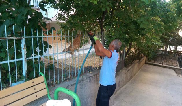 Keriman'ın imdadına Ankara itfaiyesi yetişti...