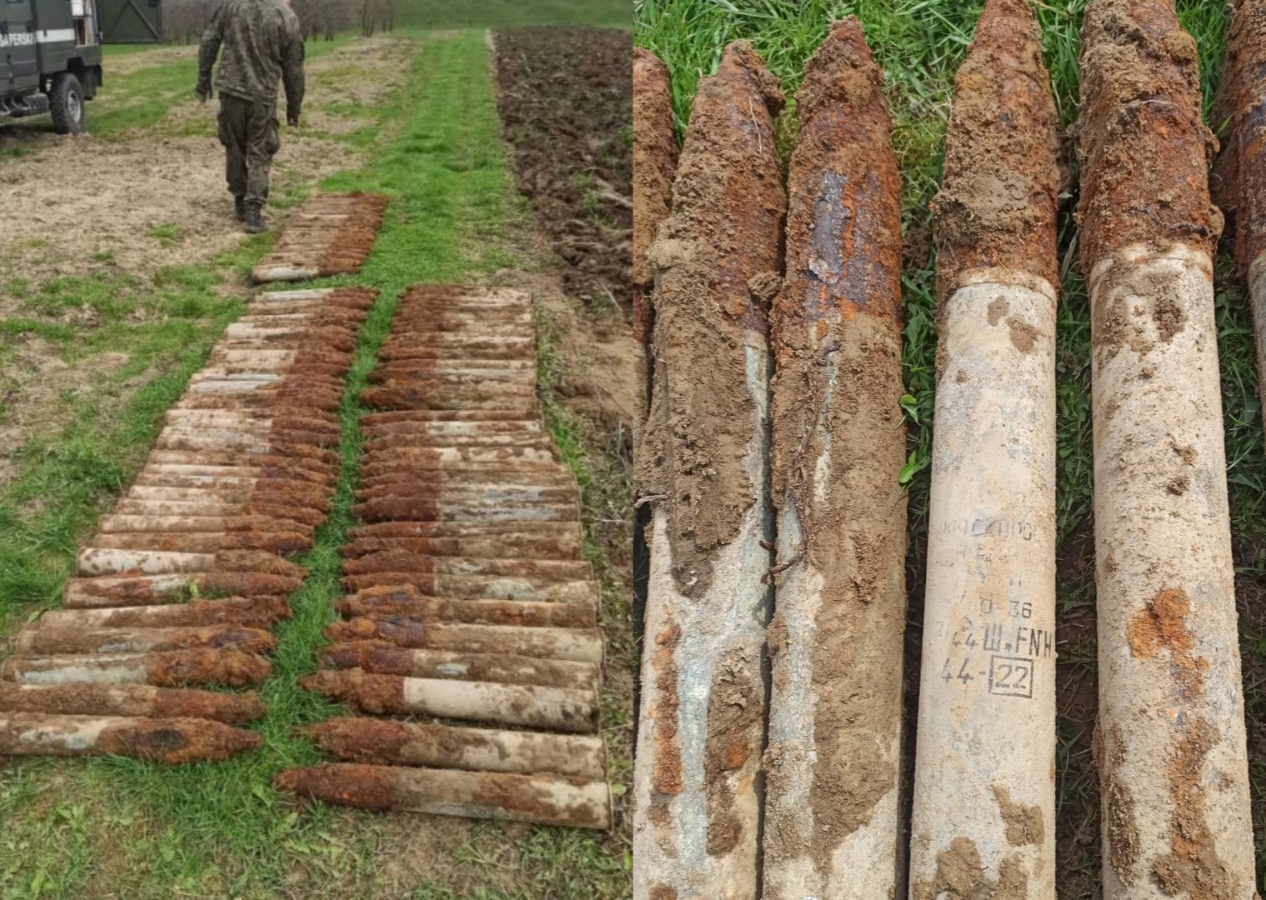 Polonyalı çiftçi tarlasında 100'den fazla top mermisi buldu! İkinci Dünya Savaşı'ndan kalma...