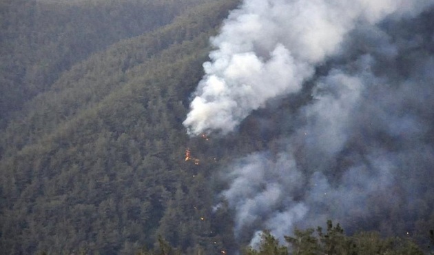 PKK'lılar TSK'nın top atışlarına karşı, Amanoslar'da ormanları yakıyor!