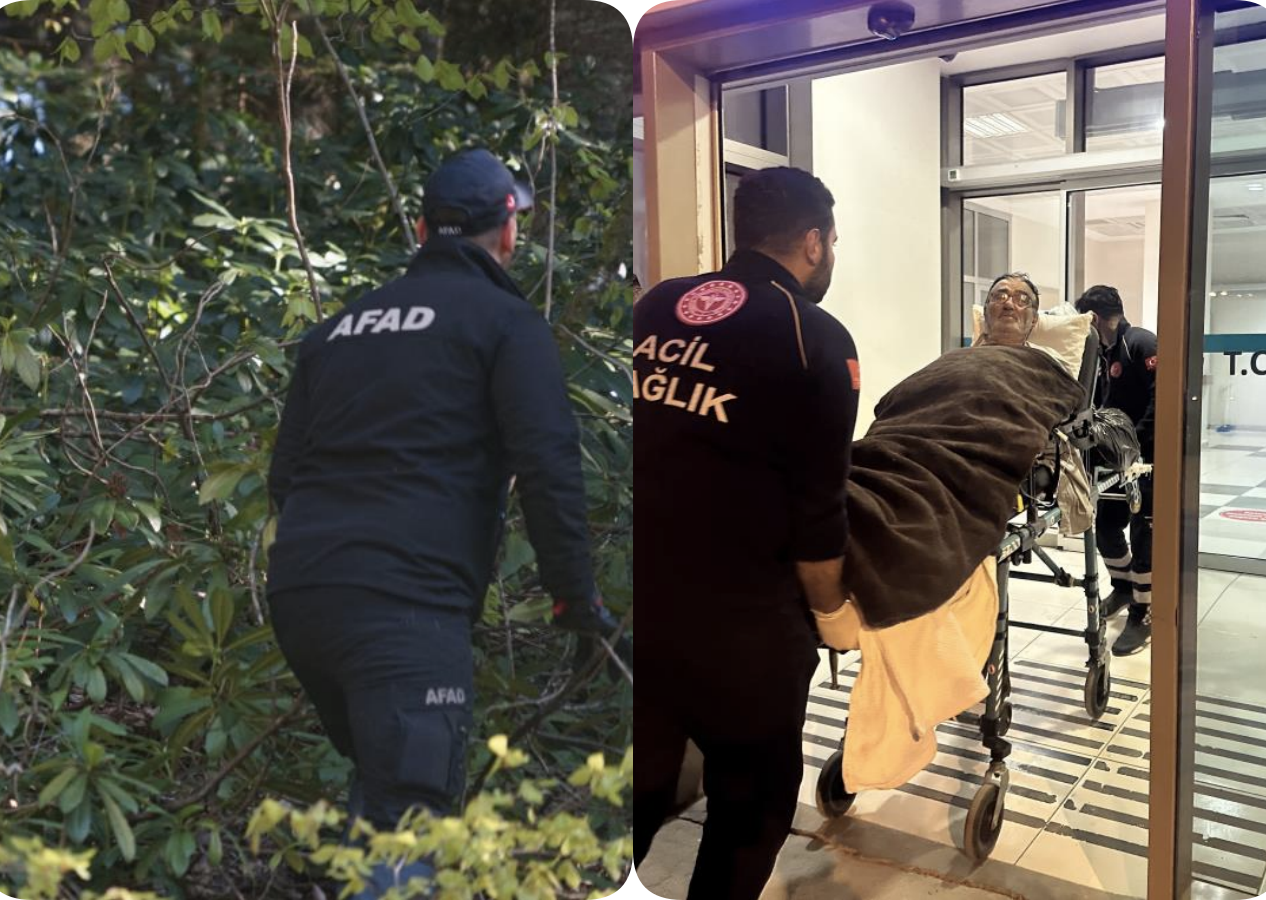 Ormanda kayboldu, 14 gün boyunca mağaraya sığındı ve ot yedi!