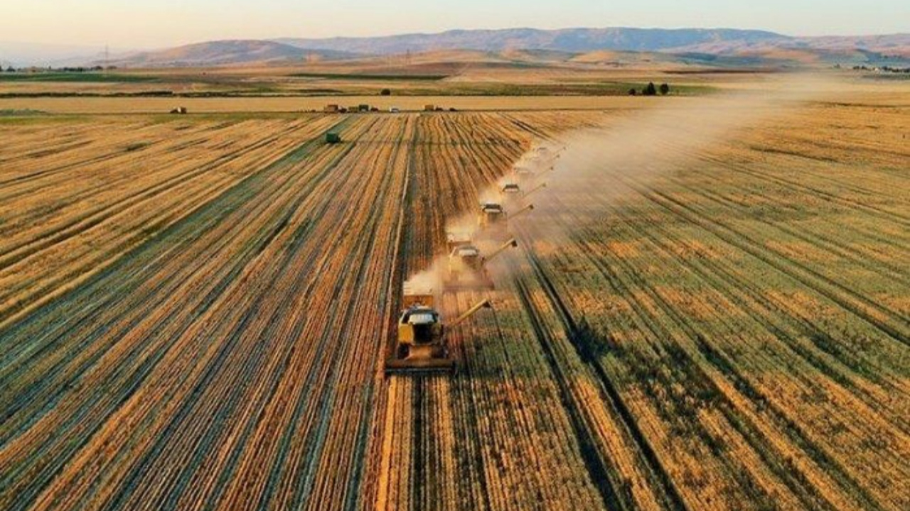 Tarım sektöründe ilk çeyrekte tüm zamanların rekoru kırıldı