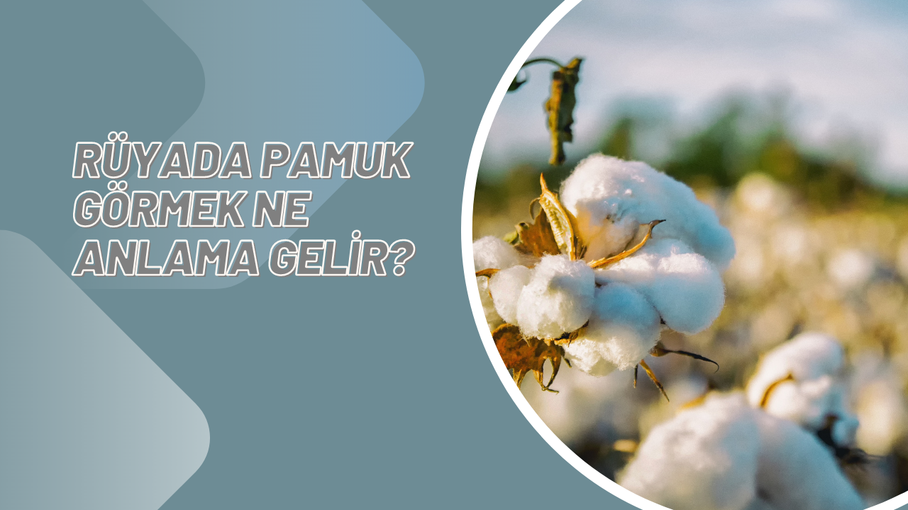 Rüyada pamuk görmek ne anlama gelir?