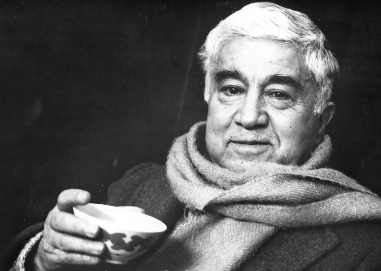 Aziz Nesin'in "Türk Halkının %60'ı aptaldır" sözüne Nedim Şener'den çarpıcı yorum