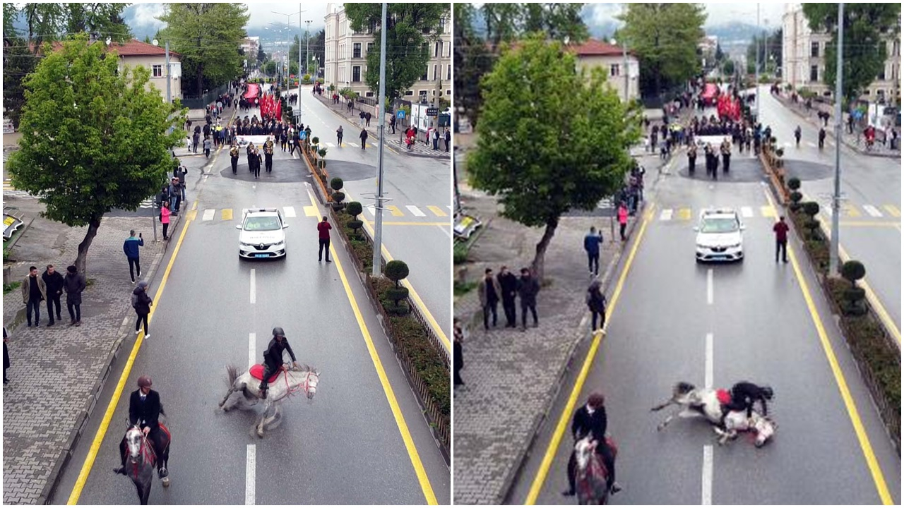 Bolu'daki 19 Mayıs kutlamalarından dikkat çeken görüntü! Yolda kayan at, binicisiyle birlikte düştü