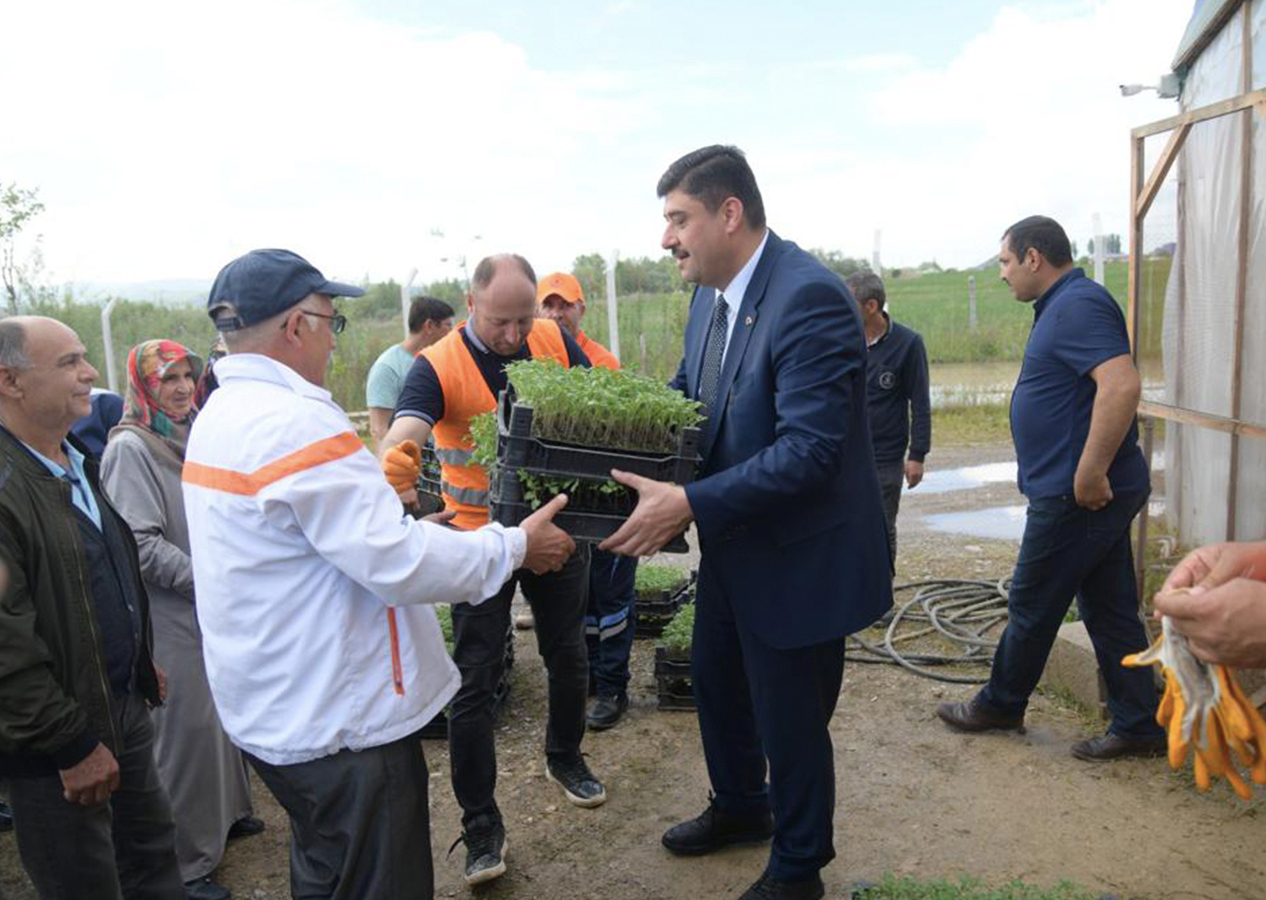 Kahramankazan Belediyesi'nden yerli üretim, yüzde yüz hibeli ata tohumu