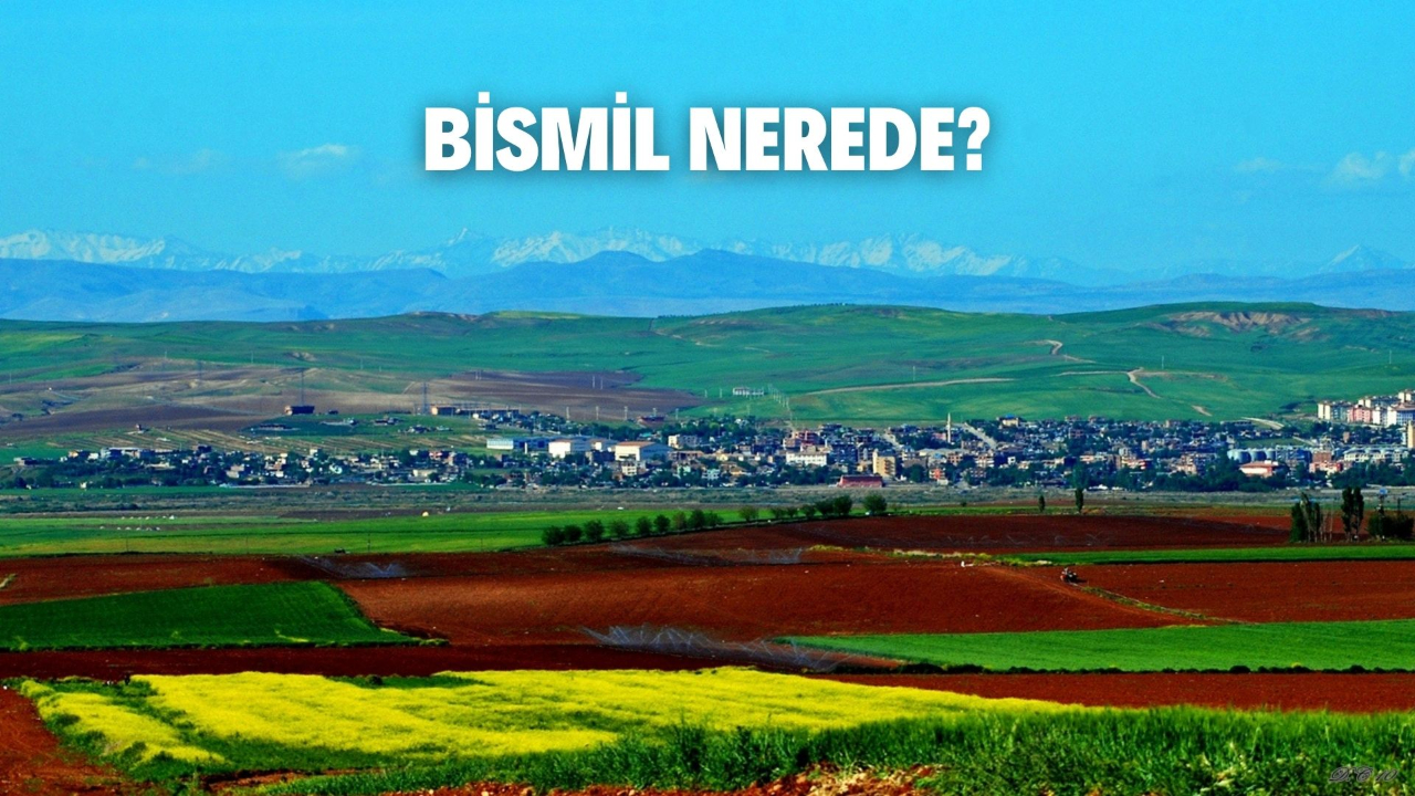 Bismil neresi? Bismil Türkiye'nin hangi bölgesinde?