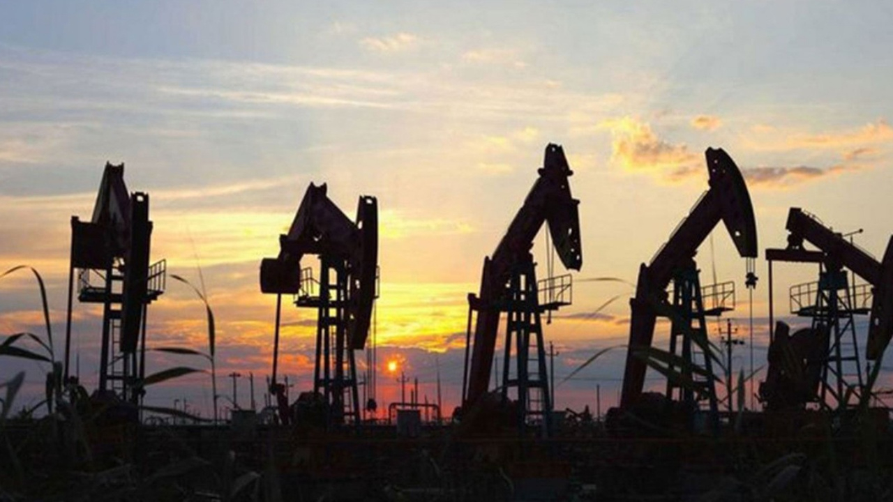 Terörden arındırılan yerlerden petrol fışkırıyor