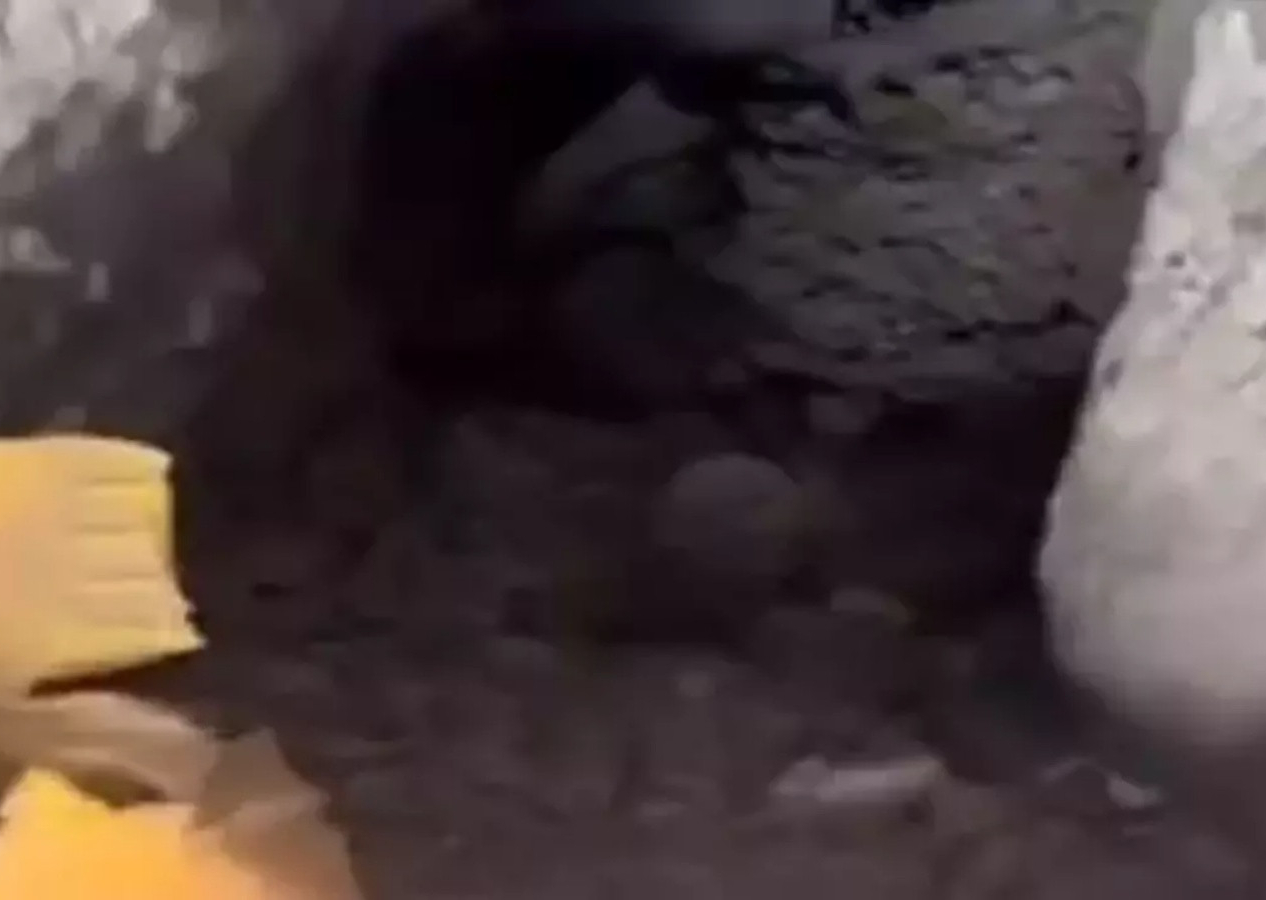 İnlerine girmeye devam! Türk Silahlı Kuvvetlerimiz, teröristlere ait çok sayıda mühimmatı ele geçirdi!