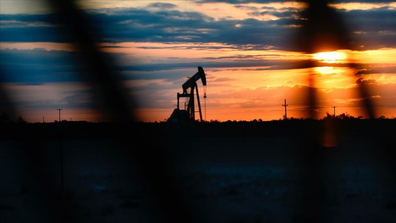 Kutuplarda petrol arayacağız