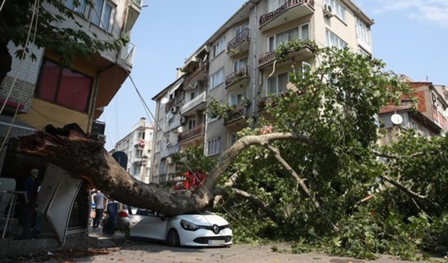 Anıt çınarın dalı otomobilin üzerine düştü!