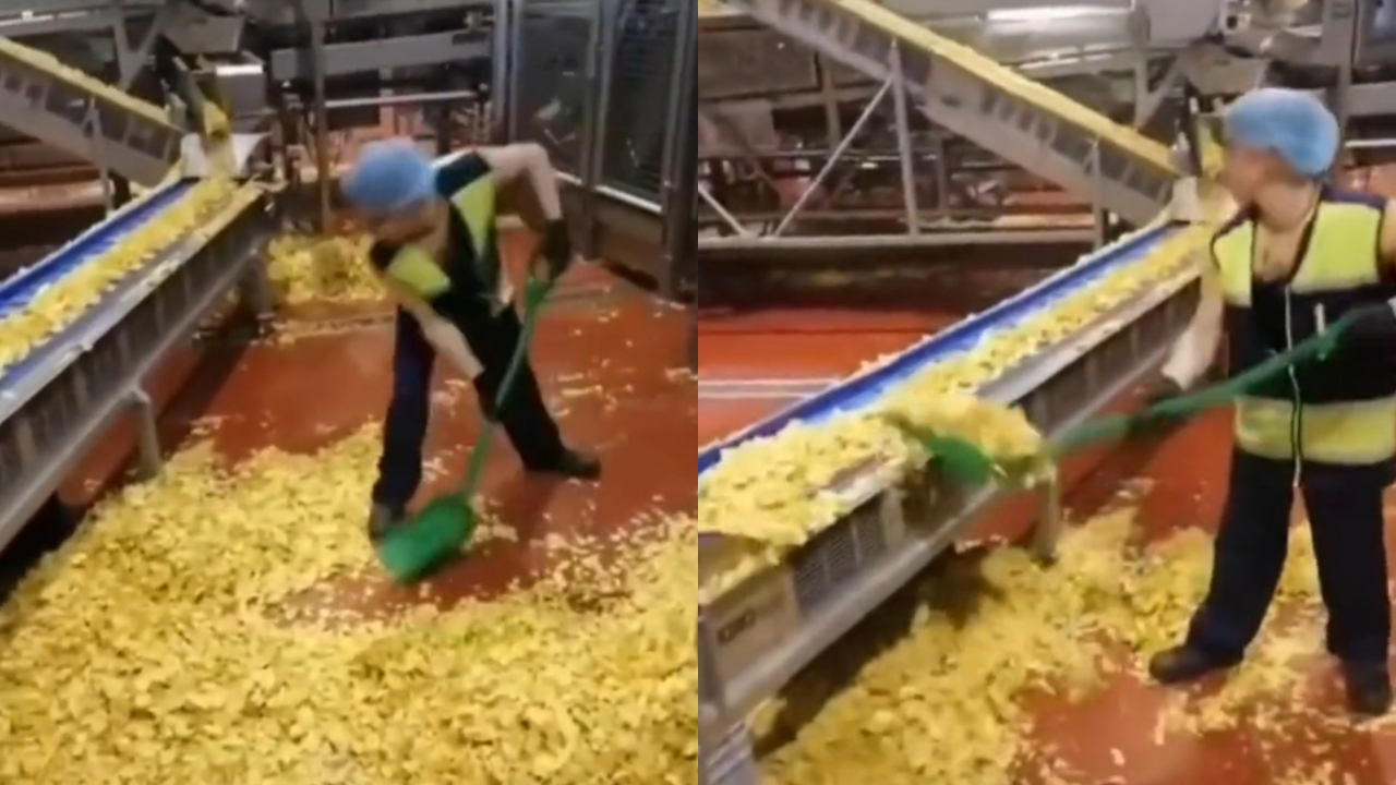 Cips fabrikasında mide bulandıran görüntü! Yerlerden paketlere...