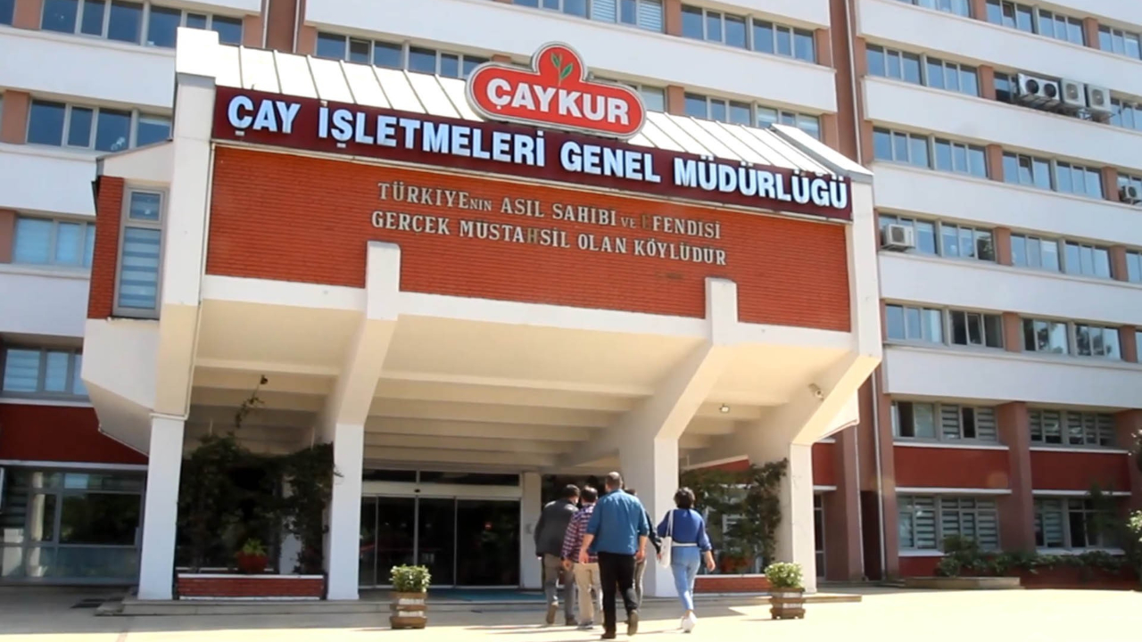 Artık çay üreticileri ÇAYKUR fabrikalarına yaş çay satabilecek