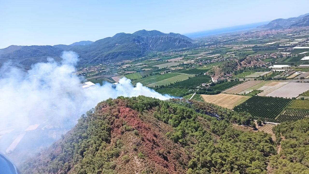 Muğla'da orman yangını! Havadan ve karadan müdahale ediliyor