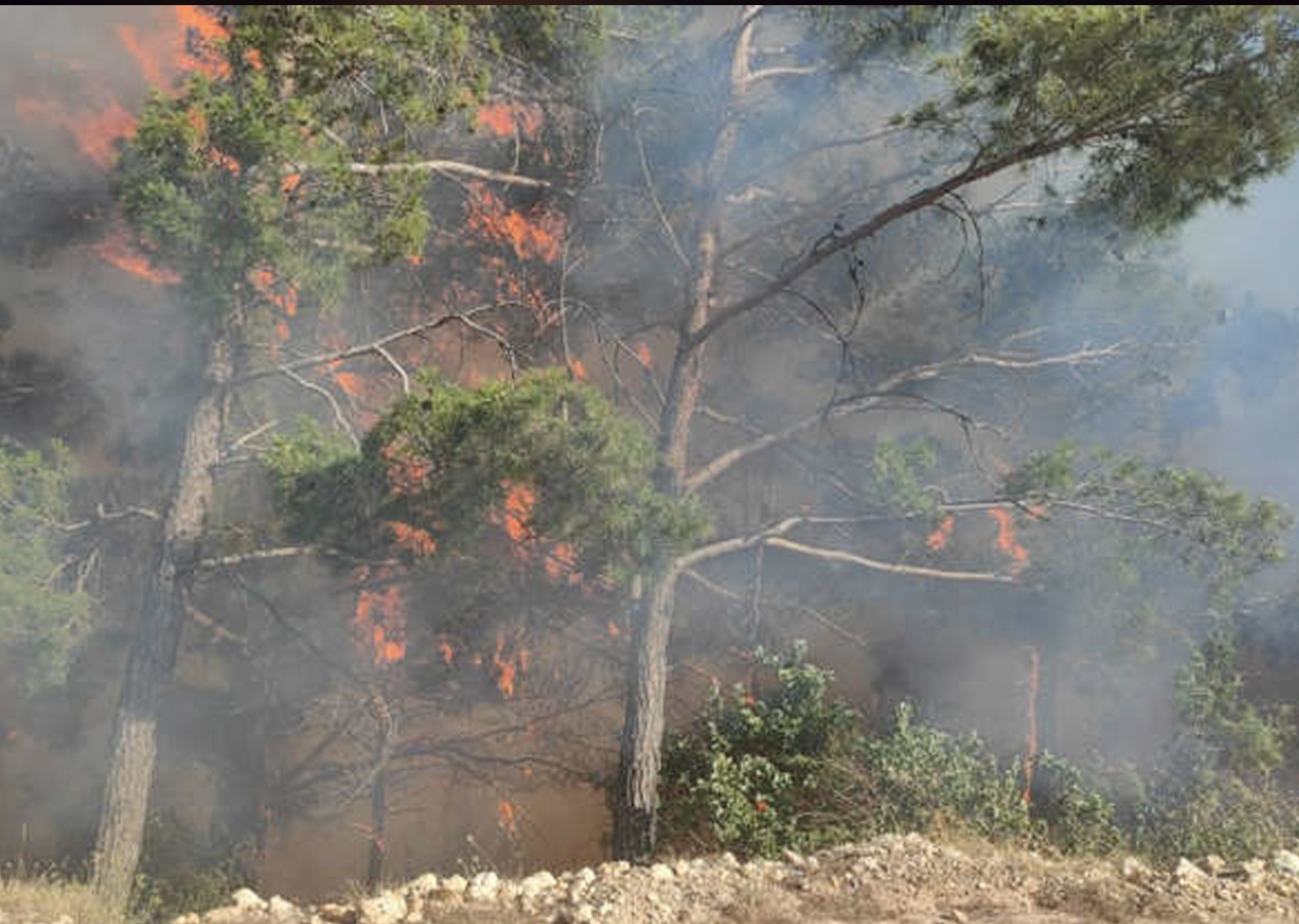 Hatay'ın ardından 3 ilde daha orman yangını