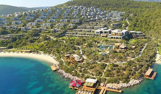 Bodrum'da milyon dolarlık villaları domuzlar bastı