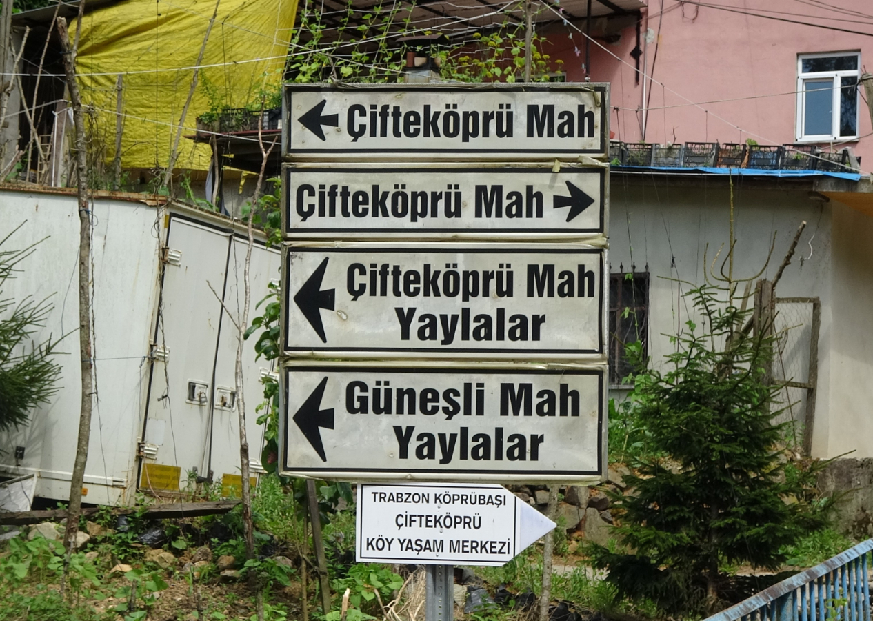 Trabzon'da kafa karıştıran tabela: Görenler ne yapacağını şaşırıyor