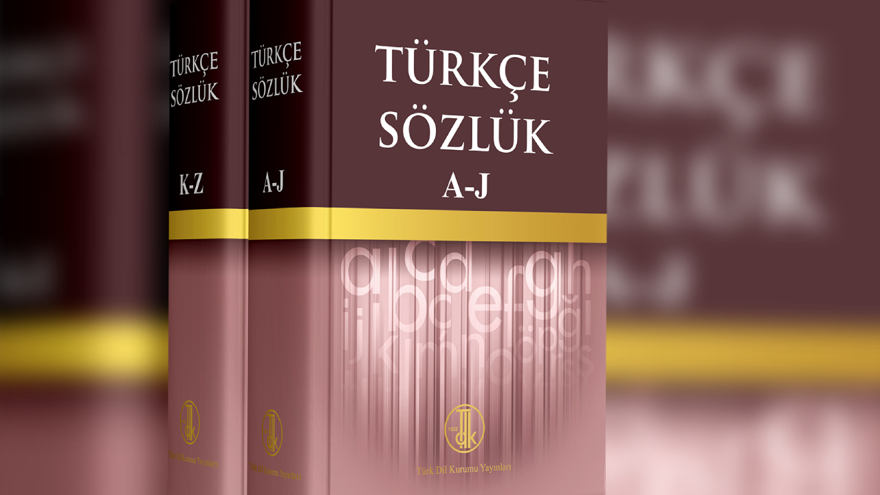 TDK tepkiler sonrası kaldırdı! ‘Türkiyeli’ skandalı sözlükten çıktı