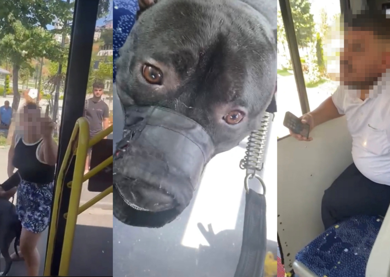 Köpeğiyle otobüse alınmayan kadın, inerken şoföre saldırdı