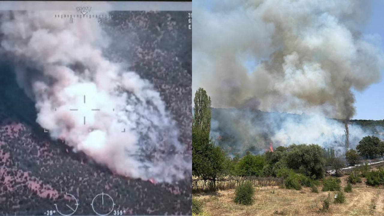 Kütahya'da orman yangını