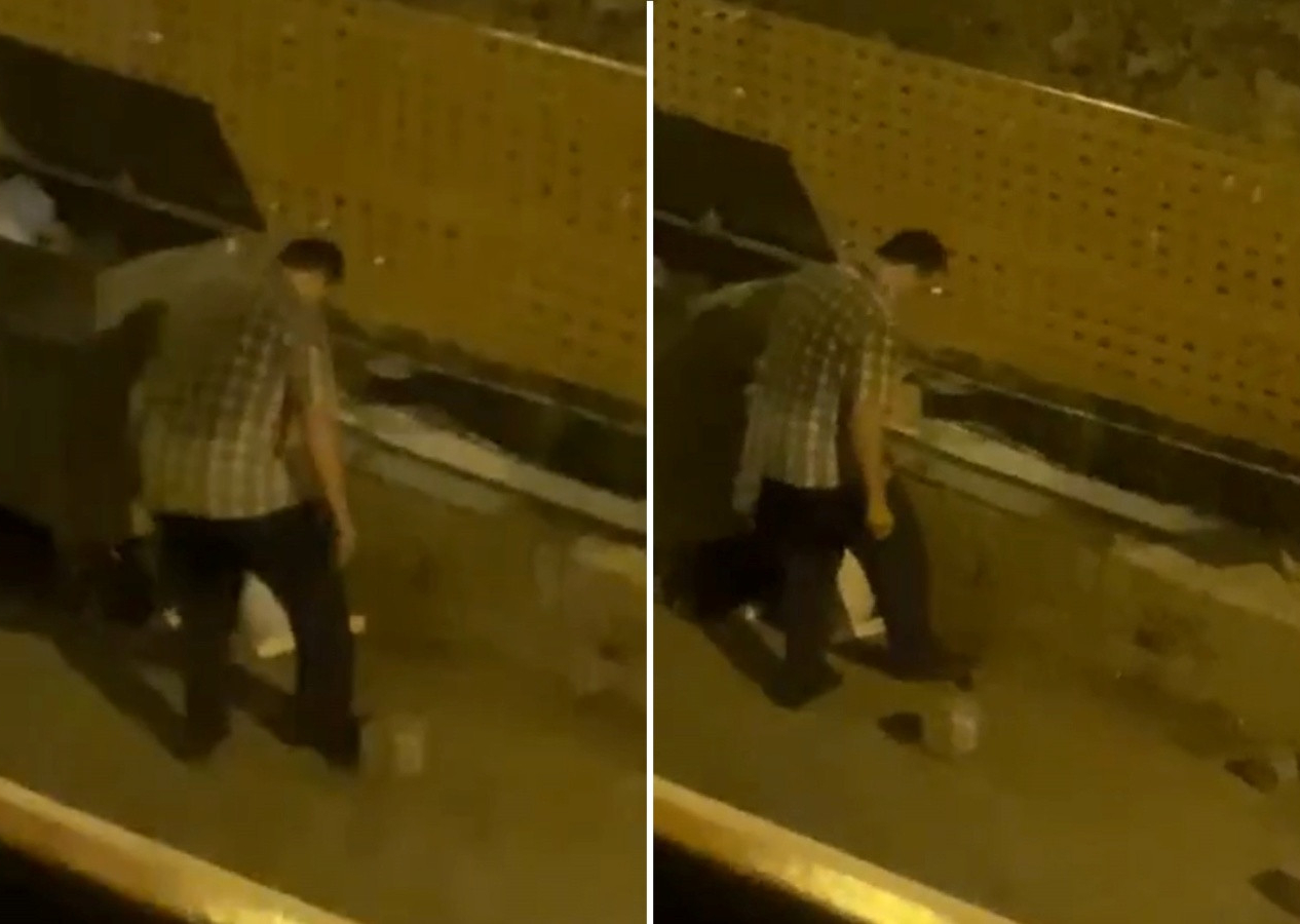 Yavru kedileri ayağıyla tek tek ezip öldürdü! Vahşetin boyutu kan dondurdu...
