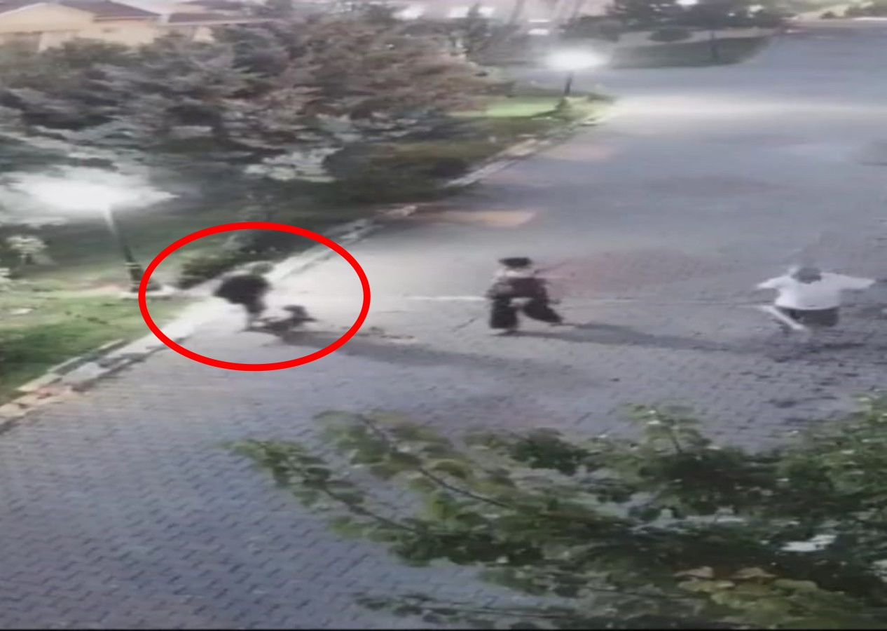 Sahibinin elinden kaçan köpek yaşlı kadına saldırdı! Köpek sahiplerinin umursamaz tavrı pes dedirtti