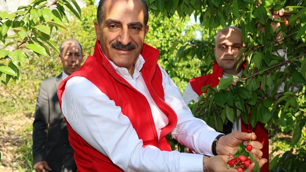 Kiraz ihracatında rekor yılı: 205 milyon dolara ulaştı