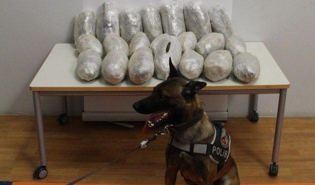 Uyuşturucu tacirleri polis köpeği Şimşek'ten kaçamadı/Video...