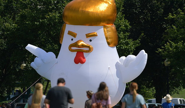 Beyaz Saray yakınındaki tavuk Trump'a büyük ilgi!