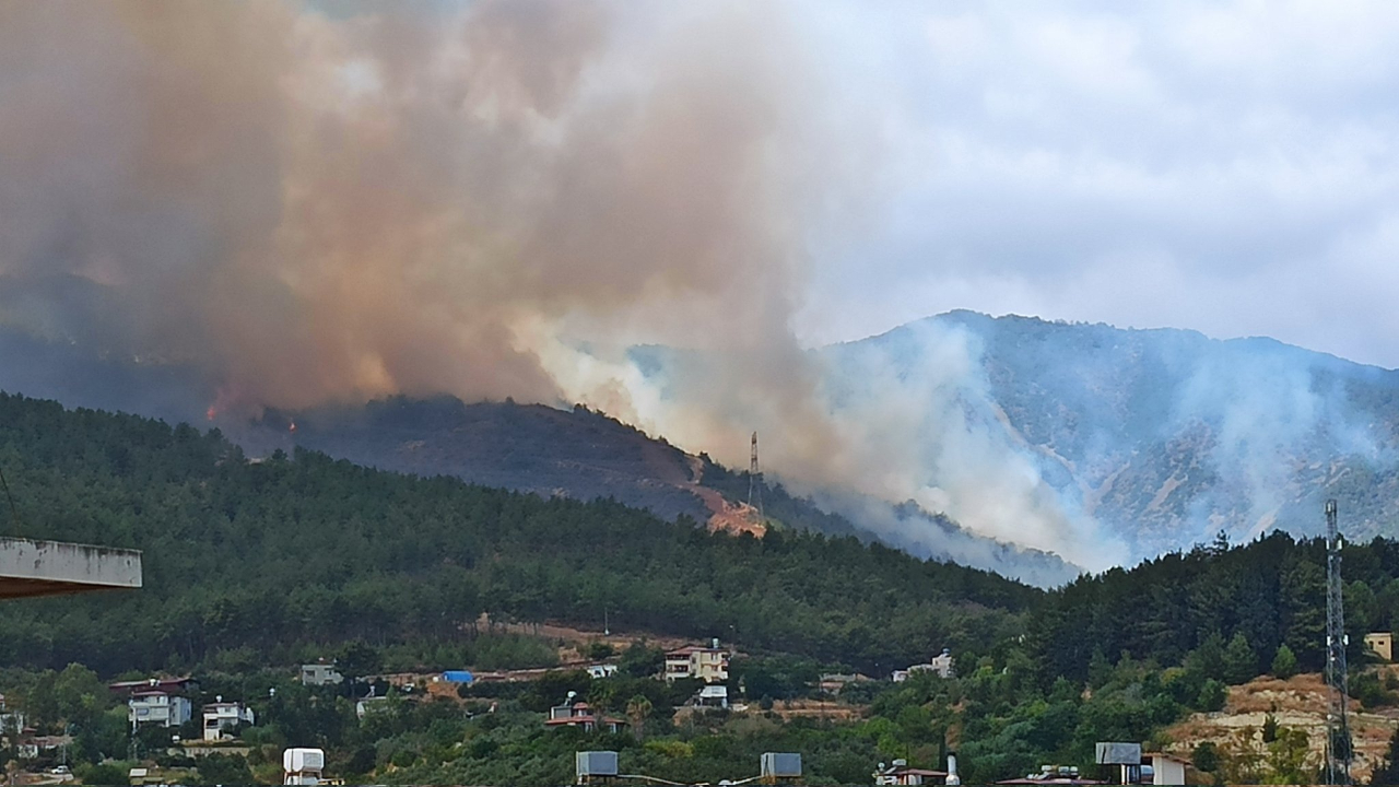 Hatay'da orman yangını! Ekipler bölgeye akın etti...