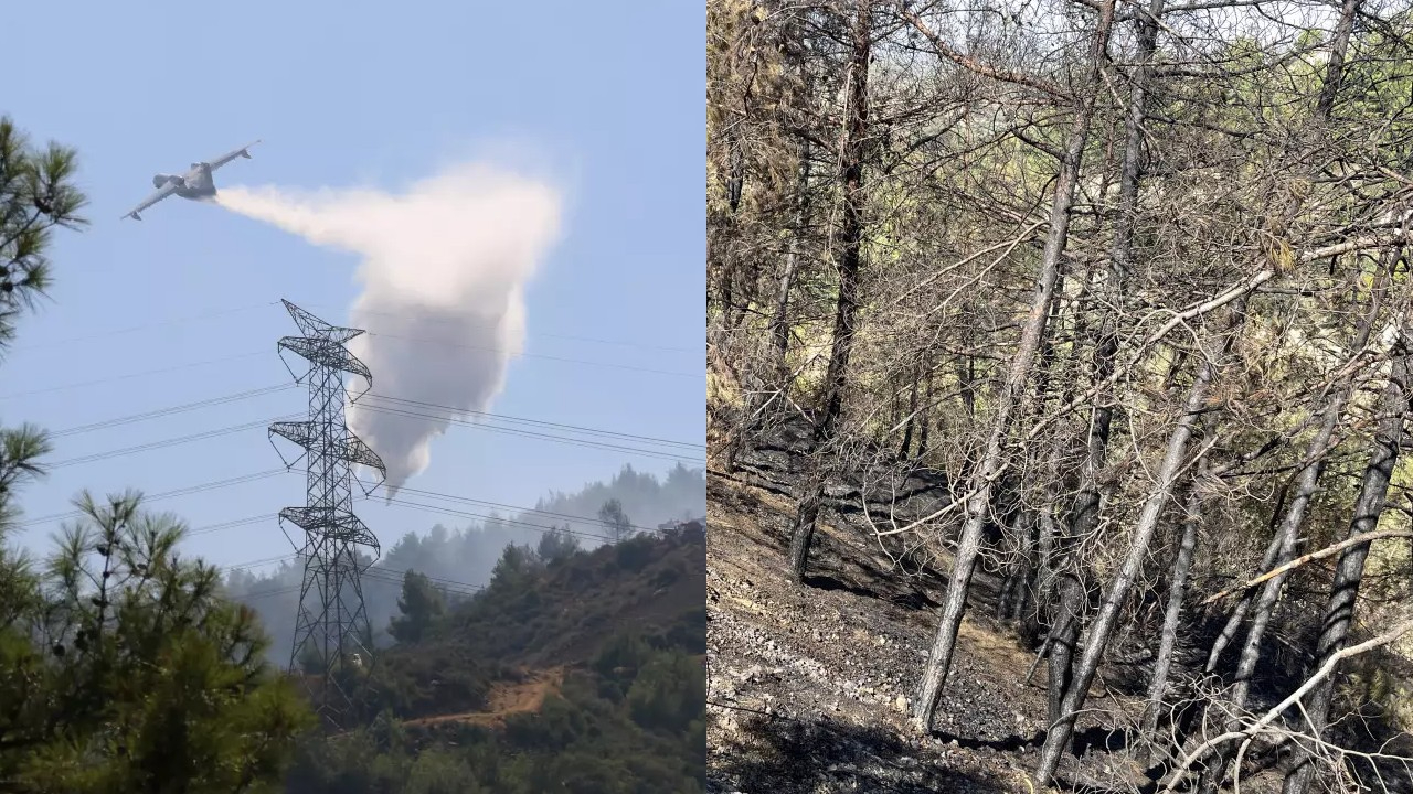 Hatay'daki orman yangını kontrol altına alındı! 4 gözaltı