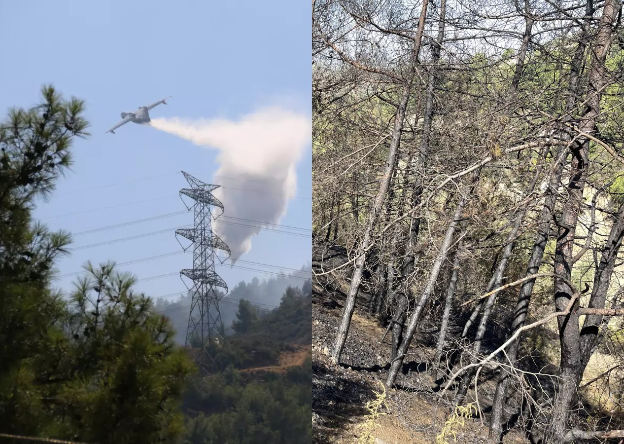 Hatay'daki orman yangını kontrol altına alındı! 4 gözaltı