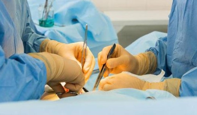 Çok yakında hayvanlardan insanlara organ nakli yapılabilecek!