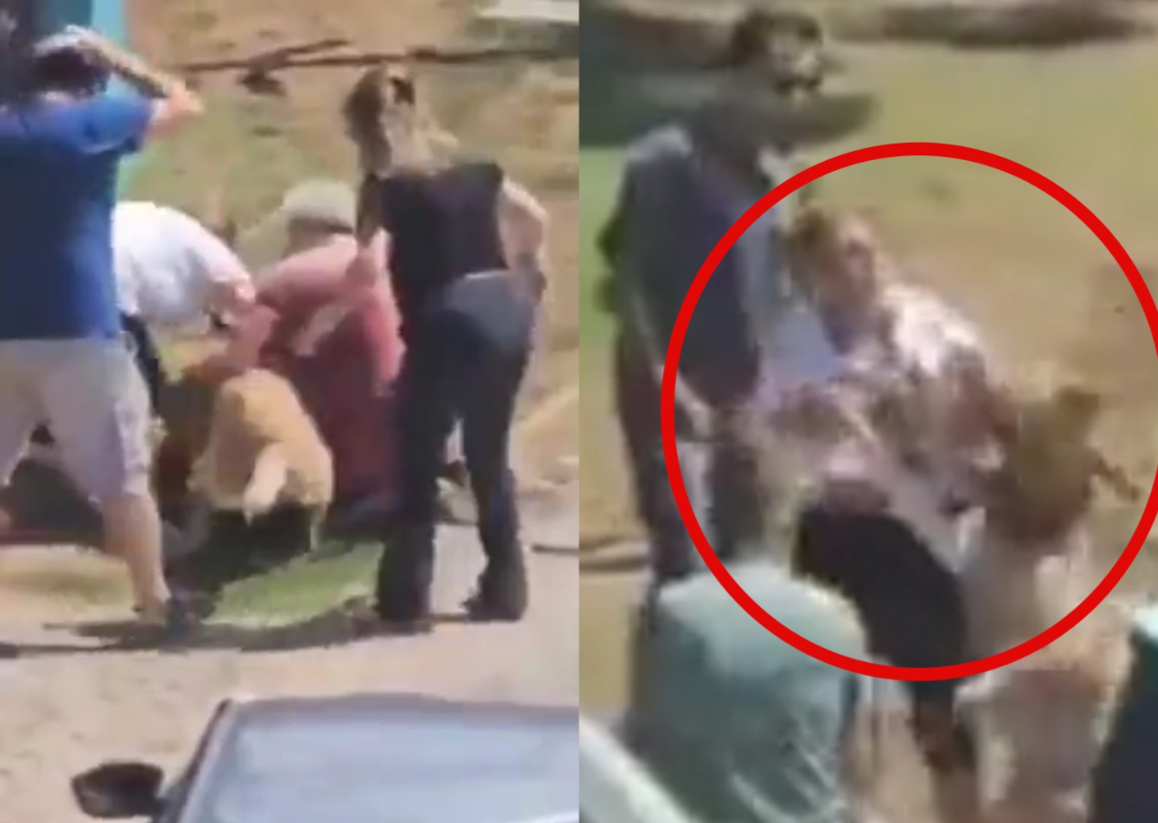 Moda'da dehşet anları: Yaşlı çifte ve köpeklerine saldıran köpek dehşet saçtı! Onlarca kişi kurtaramadı...
