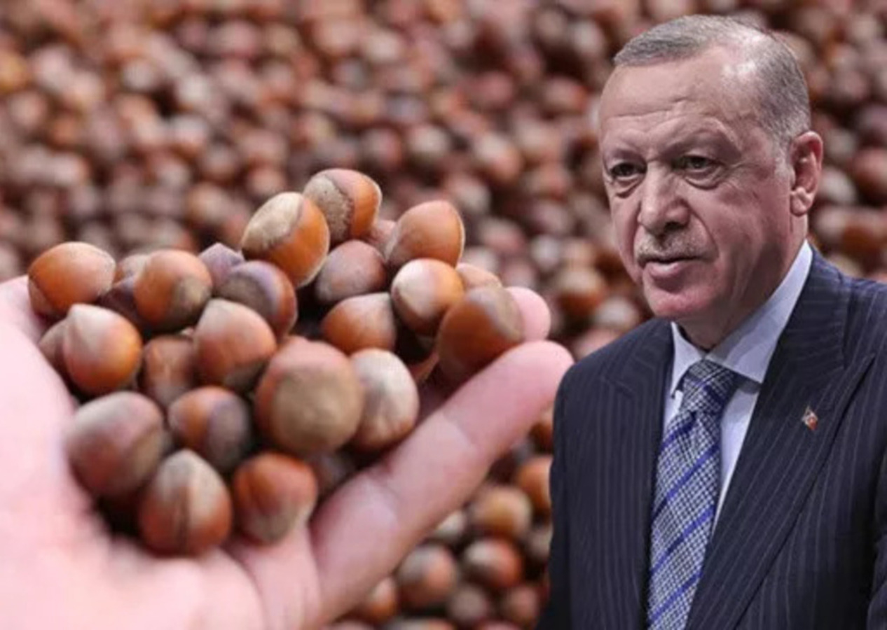 Cumhurbaşkanı Recep Tayyip Erdoğan duyurdu! Fındık alım fiyatları belli oldu