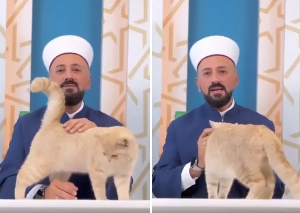Hafız Mustafa Efe'nin konuşma yaptığı sırada yanına gelen kedi ile ilgilendiği anlar viral oldu