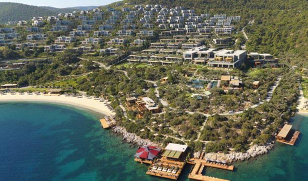 Burası Türkiye... Lüks tatil köyünü domuzlar bastı!
