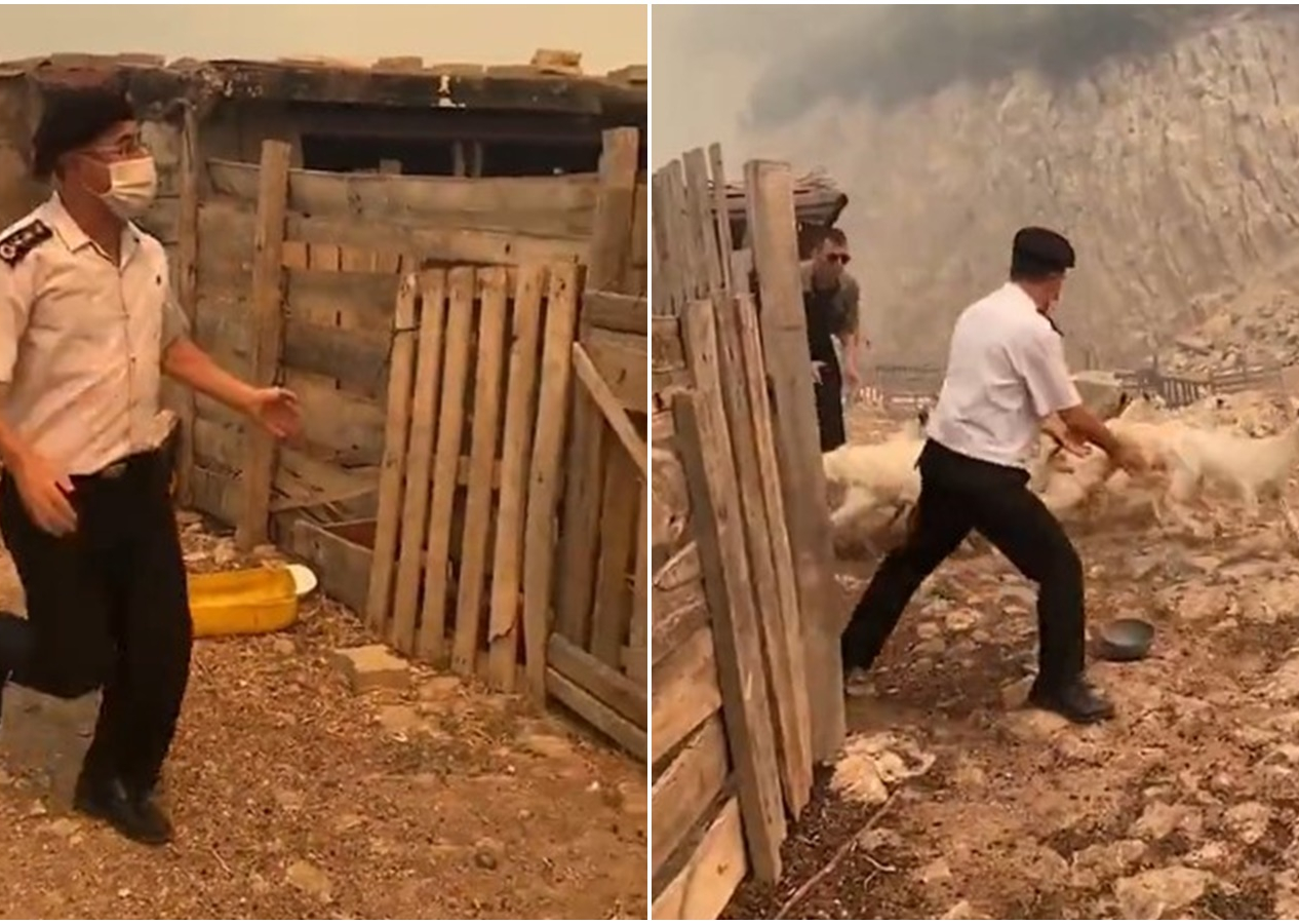 Çanakkale'de alevlerle mücadele! Albay Türkdönmez, hayvanları yangından böyle kurtardı