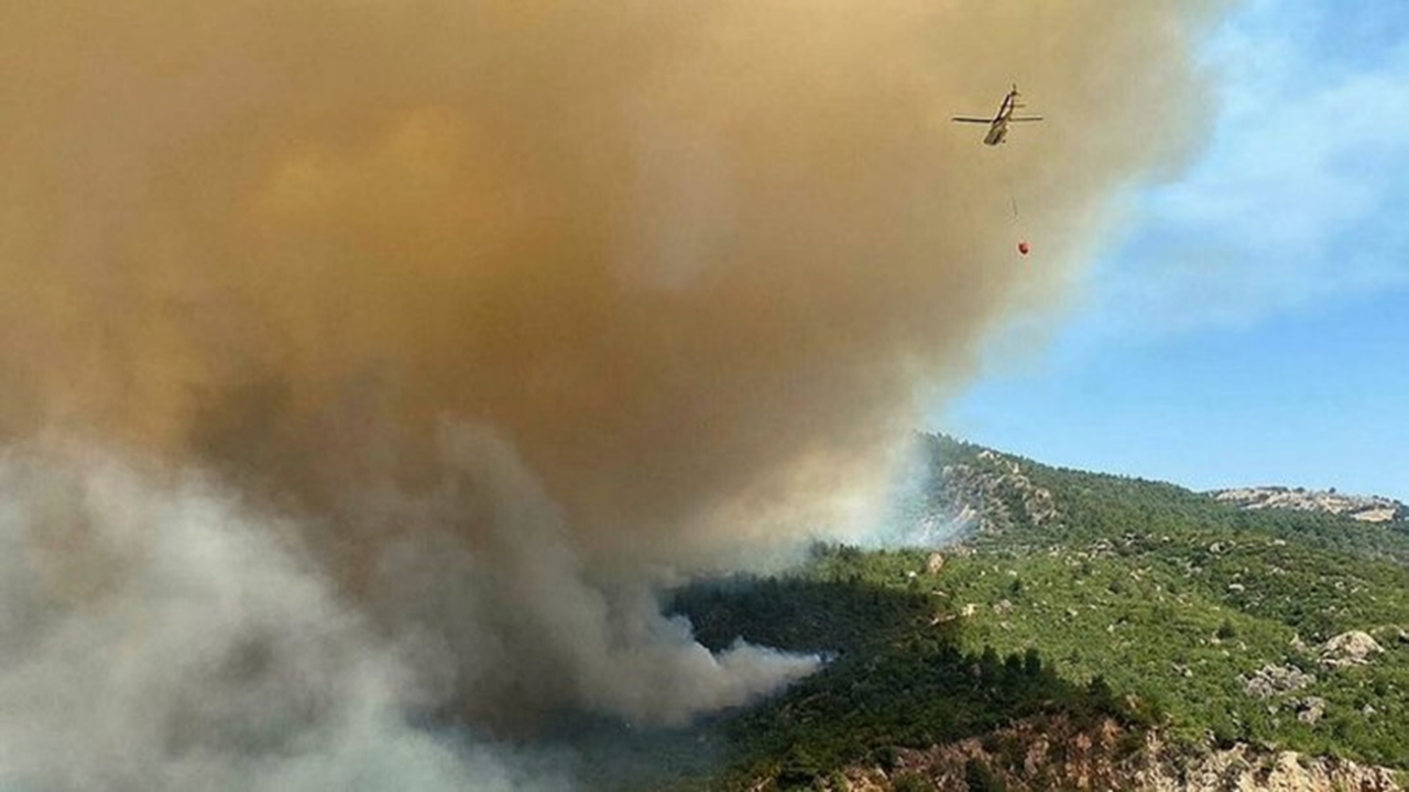 Çanakkale'deki yangının çıkış nedeni belli oldu! Köy muhtarı ilk kez açıkladı: Jandarmanın tespitine göre...